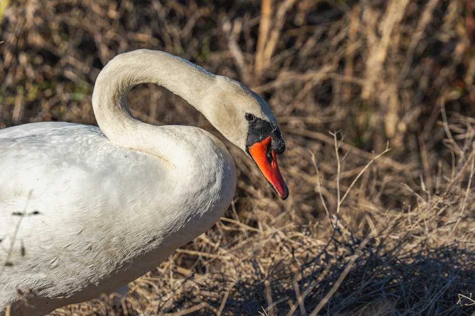 bilan de compétence - Devenir manipulateur radio grâce à la reconversion professionnelle
