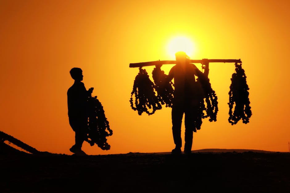 bilan de compétence - Devenir orthoptiste grâce à la reconversion professionnelle