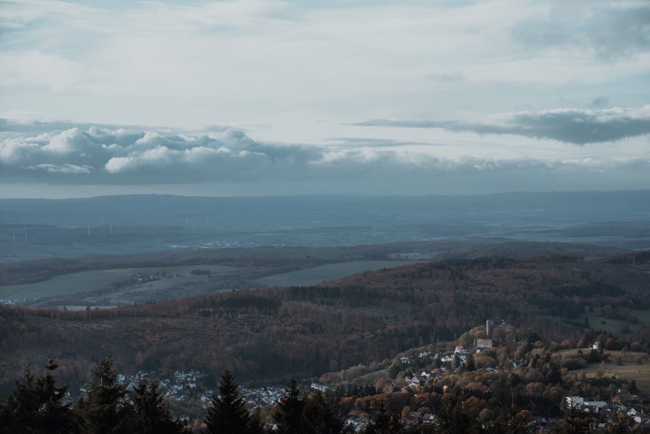 bilan de compétence - Formation en présentiel : immersion et montée en compétences