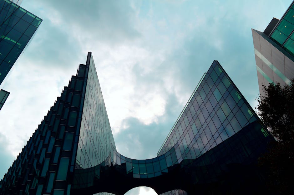 bilan de compétence - Formation initiale : un tremplin vers l’emploi