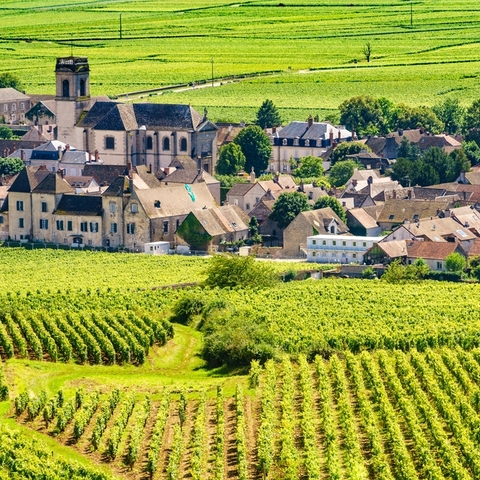 Bilan de compétences à Beaune